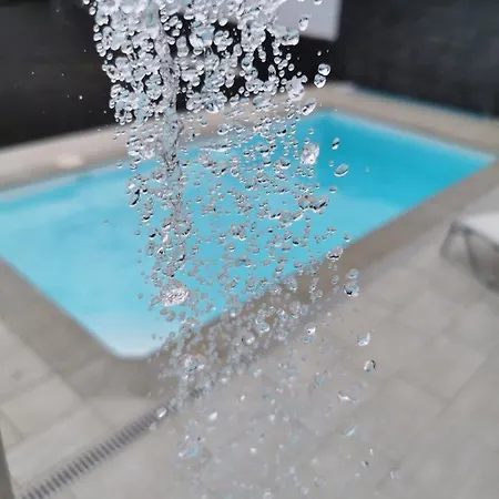 فيلة Chinchorro *